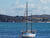  A009469rotoofm